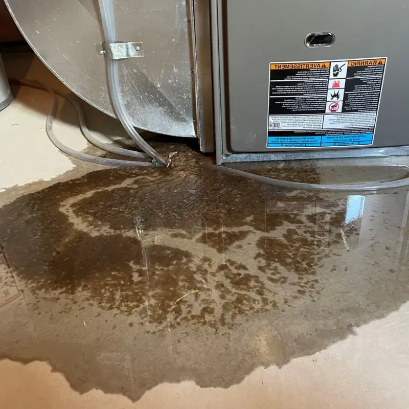 Pipe Burst and Leak Restoration in Haskell County, OK